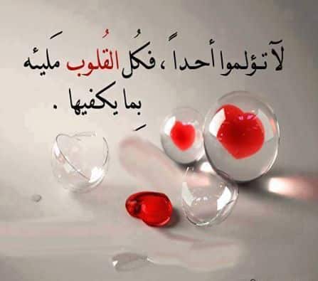 ���� ���� ������ �� ���� ������